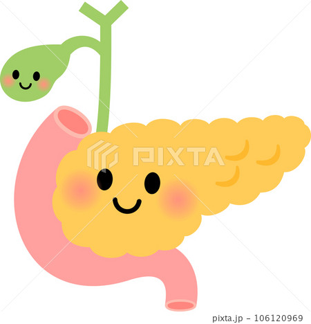胆嚢と膵臓のキャラクター 106120969