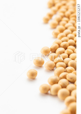 大豆 106121237