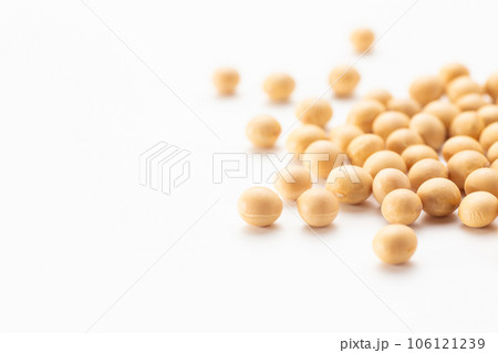 大豆 106121239