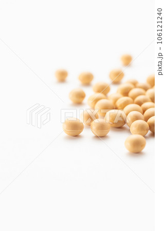 大豆 106121240