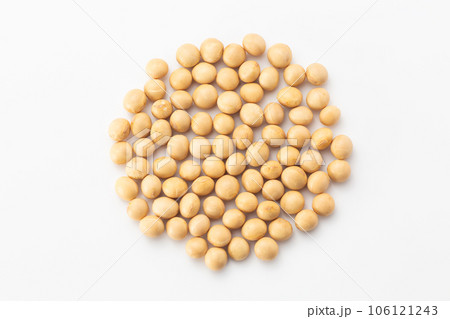 大豆 106121243