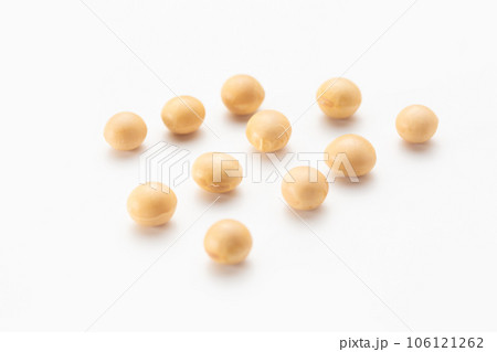 大豆 106121262