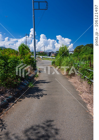 中荻野の田舎道風景 夏景色 中荻野の田舎道風景 夏景色 106121497