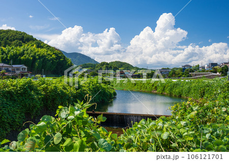 夏の田舎町 荻野川 中荻野 夏の田舎町 荻野川 中荻野 106121701
