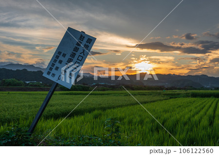 相模原の田舎風景　夕暮れの田園 106122560