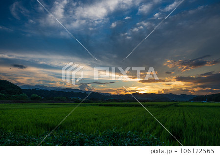 相模原の田舎風景 夕暮れの田園 相模原の田舎風景 夕暮れの田園 106122565