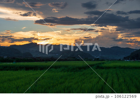 相模原の田舎風景 夕暮れの田園 相模原の田舎風景 夕暮れの田園 106122569