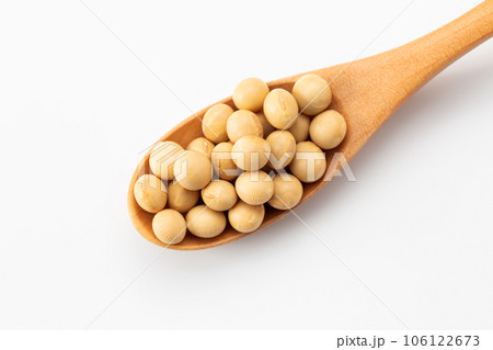大豆 106122673