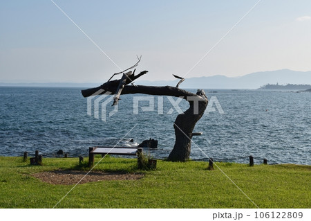 岩井崎の龍の松　宮城 106122809