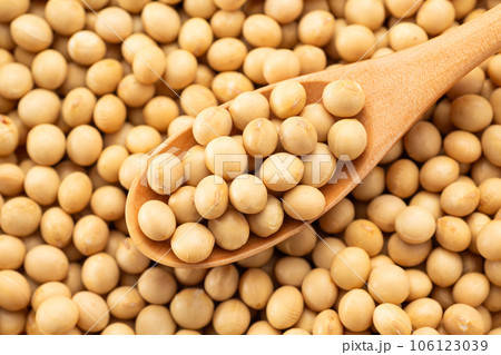 大豆 大豆 106123039