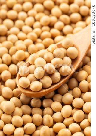 大豆 大豆 106123040
