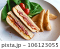Closeup ham cheese sandwich with potato and salad 106123055