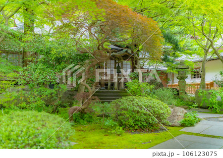 【神奈川県】新緑に包まれる覚園寺境内　※撮影協力「覚園寺」プロパティリリース取得済 106123075