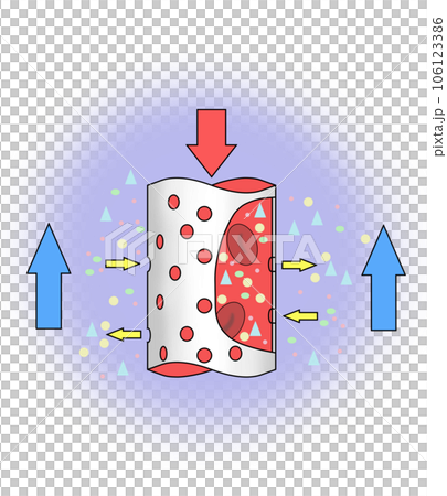 Image illustration of dialyzer 106123386