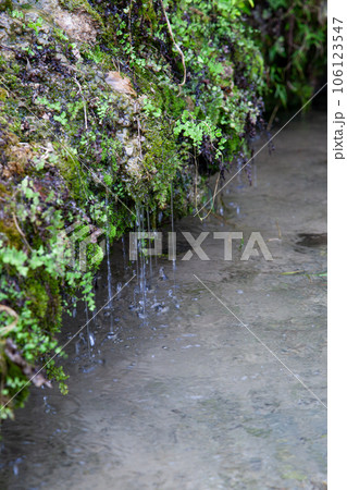 垣花ヒージャーの湧水 垣花ヒージャーの湧水 106123547