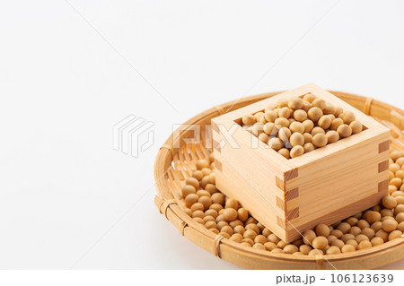 大豆 106123639