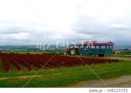 FLOWER LAND 北海道 FLOWER LAND 北海道 106123753
