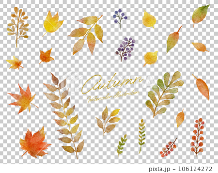 秋で紅葉した葉っぱやモミジ等の水彩画イラストセット 106124272