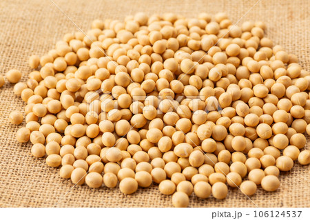 大豆 106124537