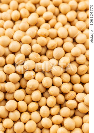 大豆 106124779