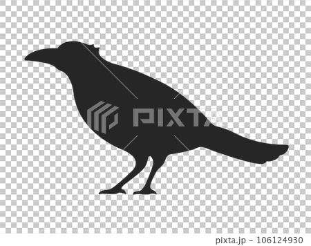illustration of crow silhouette illustration of crow silhouette 106124930