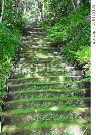 鎌倉 妙法寺 美しい苔石段(神奈川県) 鎌倉 妙法寺 美しい苔石段(神奈川県) 106125138