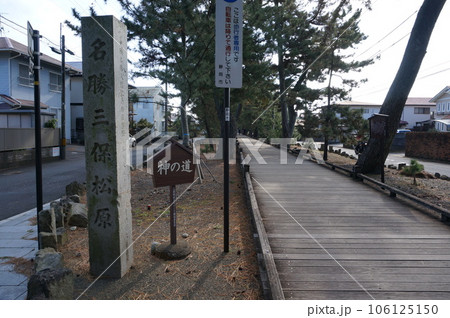 羽衣の松から御穂神社へ通ずる神の道【日本・静岡】 羽衣の松から御穂神社へ通ずる神の道【日本・静岡】 106125150
