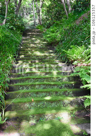 鎌倉 妙法寺 美しい苔石段(神奈川県) 鎌倉 妙法寺 美しい苔石段(神奈川県) 106125357