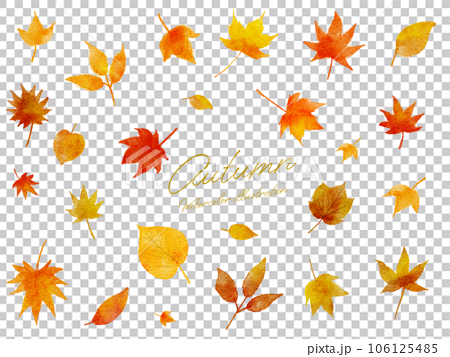 秋で紅葉した葉っぱやモミジ等の水彩画イラストセット 106125485