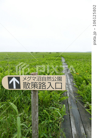 メグマ沼自然公園 稚内 北海道 メグマ沼自然公園 稚内 北海道 106125802