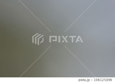 モス・グレーからジャーマン・グレーグラデーション背景テクスチャー 106125896