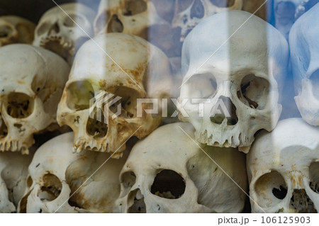 プノンペンのキリング・フィールドに安置されている髑髏 106125903