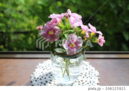 窓辺で撮影したカリブラコアの花 窓辺で撮影したカリブラコアの花 106125921