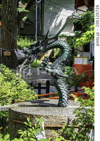 東京都　田無神社（たなしじんじゃ）　龍神池　五龍神のパワースポット 106126726