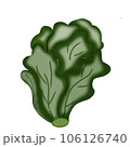 Healthy 106126740