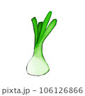 Healthy 106126866