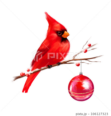 Christmas illustration with cardinal bird on branch. Holiday decor for postcard, cover, flyer, cards design, New year invitations 106127323