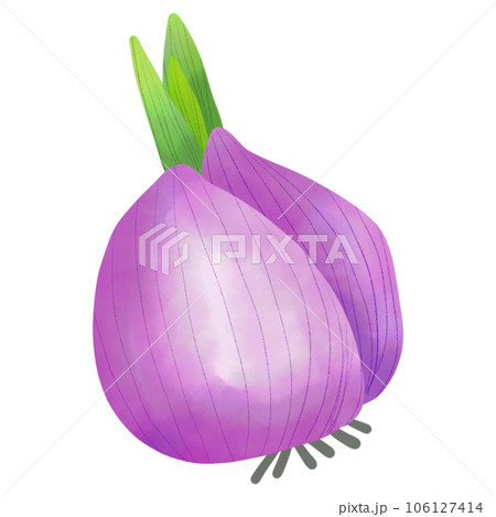 Onion Onion 106127414