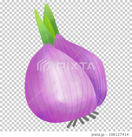 Onion Onion 106127414