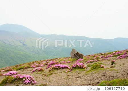 美しい高千穂峰の春 美しい高千穂峰の春 106127710