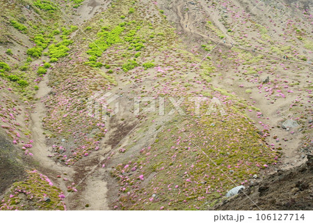 春の高千穂峰の風景 春の高千穂峰の風景 106127714