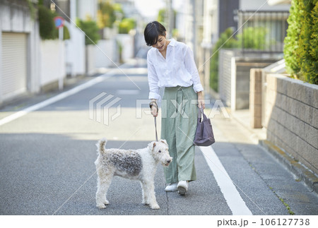 愛犬のワイヤーフォックステリアと住宅街を散歩する若い女性 愛犬のワイヤーフォックステリアと住宅街を散歩する若い女性 106127738