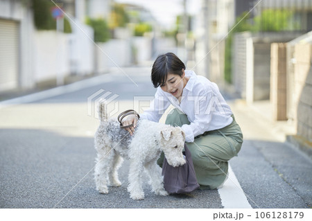 愛犬のワイヤーフォックステリアと住宅街を散歩する若い女性 106128179