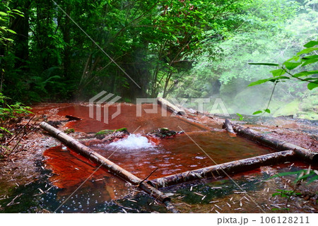 森林の中の竹林の湯 106128211