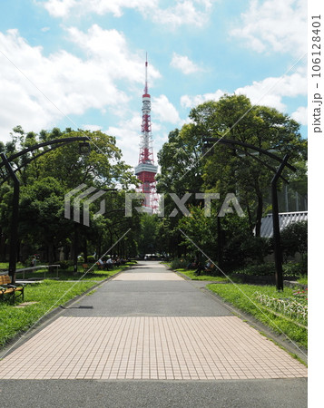 芝公園四号地から眺める東京タワー 芝公園四号地から眺める東京タワー 106128401