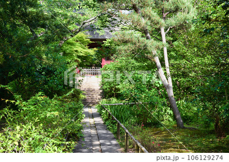 鎌倉 妙法寺 美しい境内と仁王門（神奈川県） 106129274