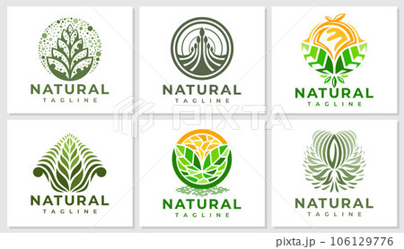 Luxury herbal nature plant logo design set. Elegance organic leaf vegan logo. Luxury herbal nature plant logo design set. Elegance organic leaf vegan logo. 106129776