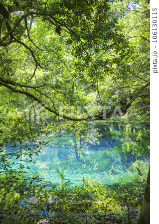 丸池様　山形県観光スポット 106130115