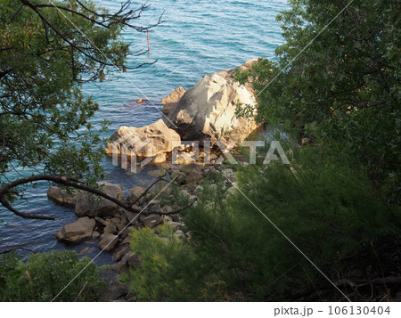 Rocky sea Bay, lush green crowns of trees on a background of blue sea water and light brown rocks. The concept of recreation, travel, unity with nature.	 106130404