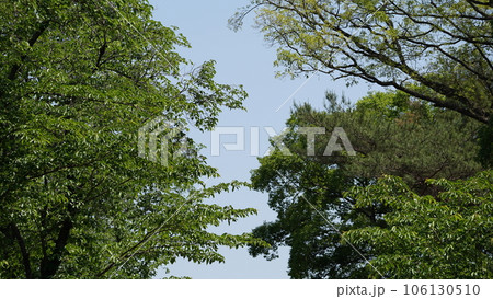 むさし野村 106130510